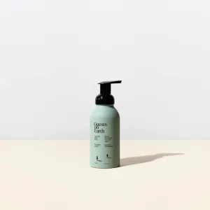 Foaming Hand Soap (Citrus Oasis)