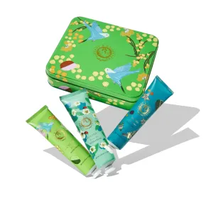 Hand Cream Tin Gift Set | Lime